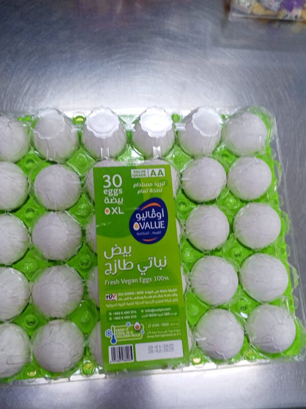 بيض اوفاليو XL
